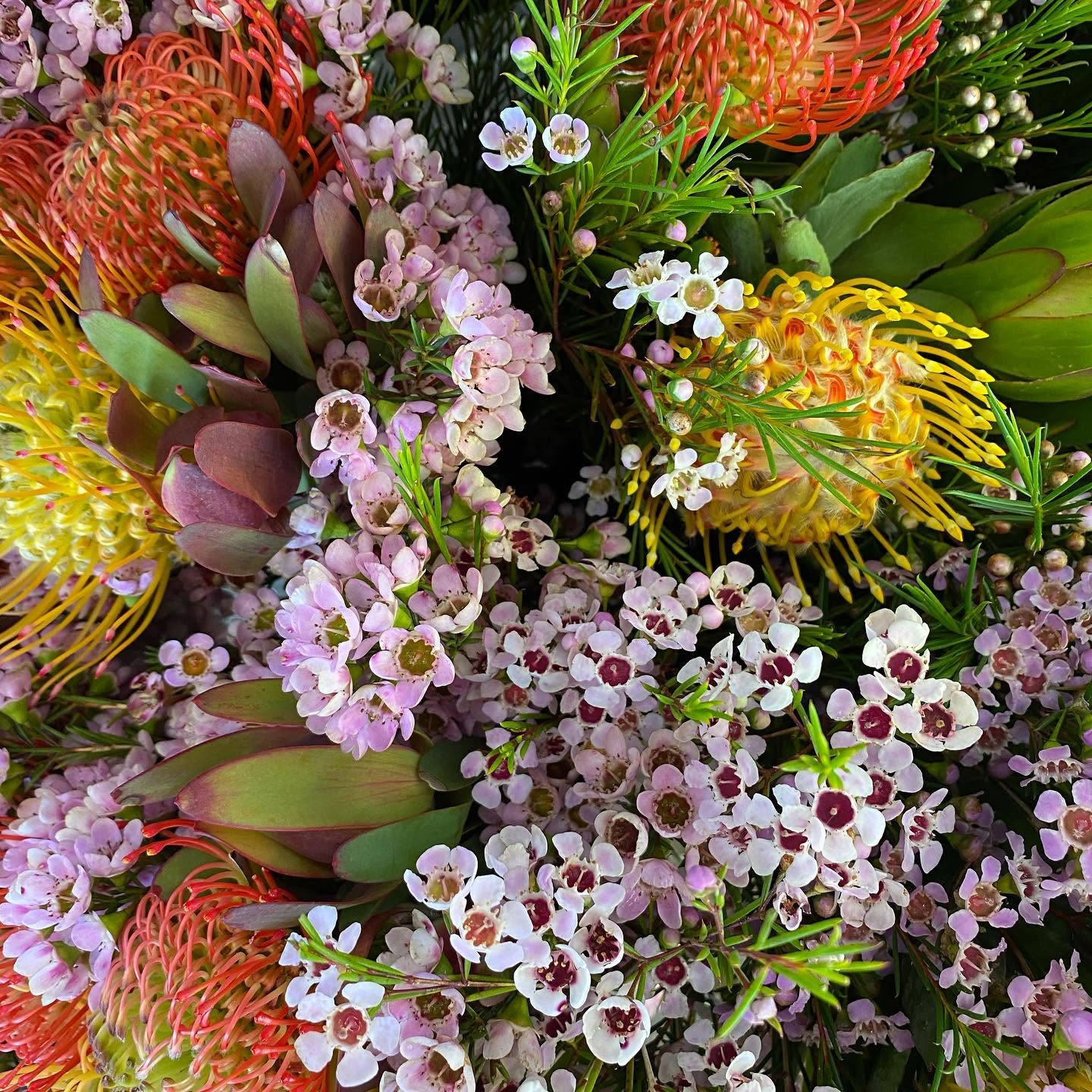 Bright pincushion flowers and delicate waxflowers